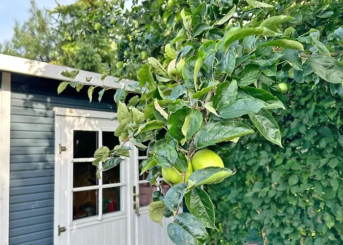 Ferienhaus Havn Hus - Traumhaftes Nah Am Hafen&strand *